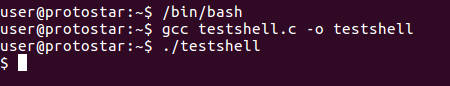 Testing the shellcode