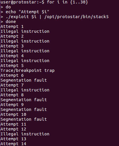 Testing the initial exploit using bash loop