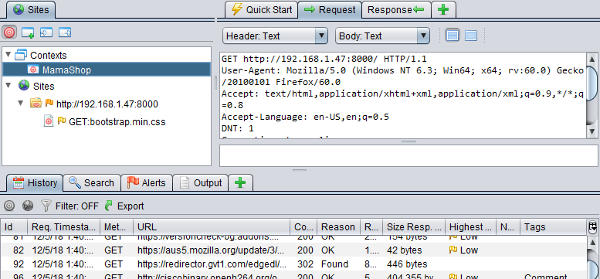 Traffic through ZAP Proxy